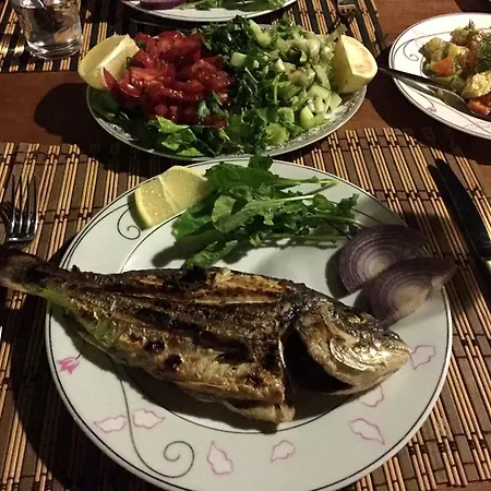 Гостевой дом Dervi̇shan Health Club *