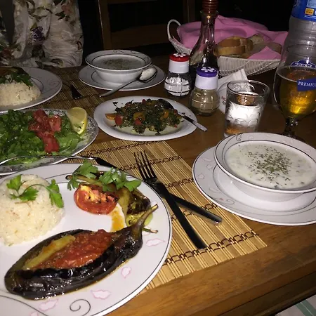 Гостевой дом Dervi̇shan Health Club