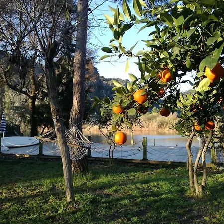 Dervi̇shan Health Club Дальян