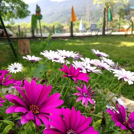 Dervi̇shan Health Club Гостевой дом *