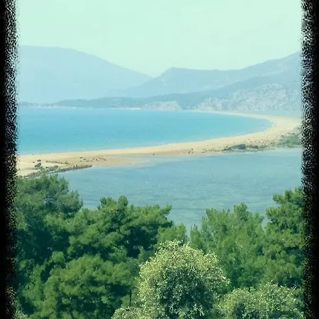 Dervi̇shan Health Club * داليان