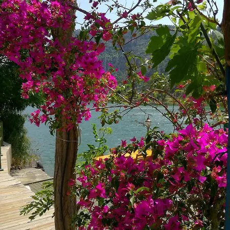 بيت ضيافة Dervi̇shan Health Club *