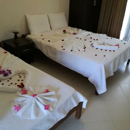 Dervi̇shan Health Club 게스트하우스