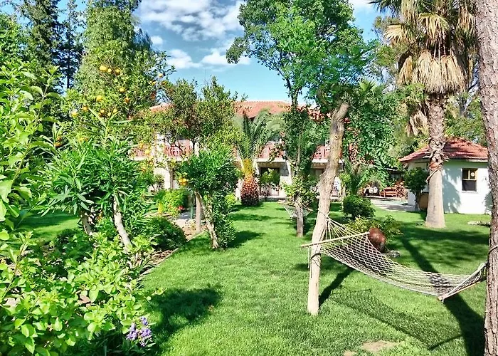 Dervi̇shan Health Club 达利安