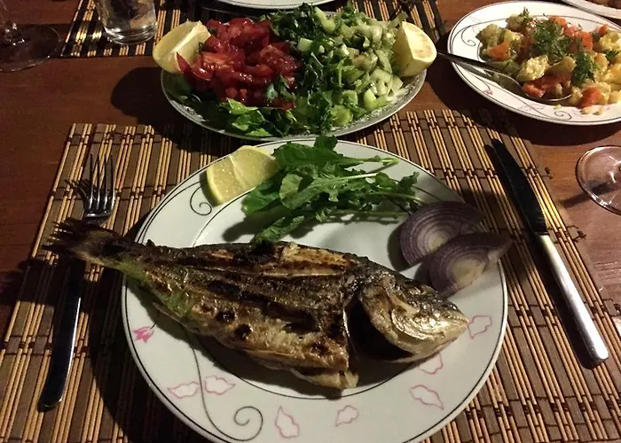 招待所 Dervi̇shan Health Club *