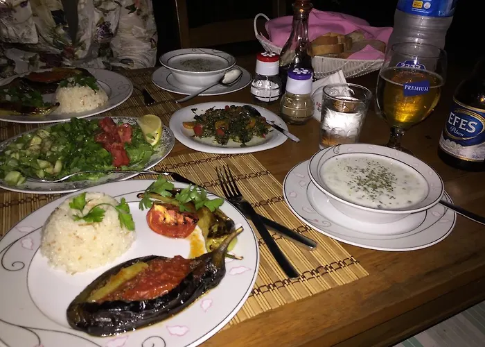 招待所 Dervi̇shan Health Club