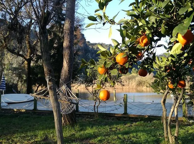 Dervi̇shan Health Club 达利安