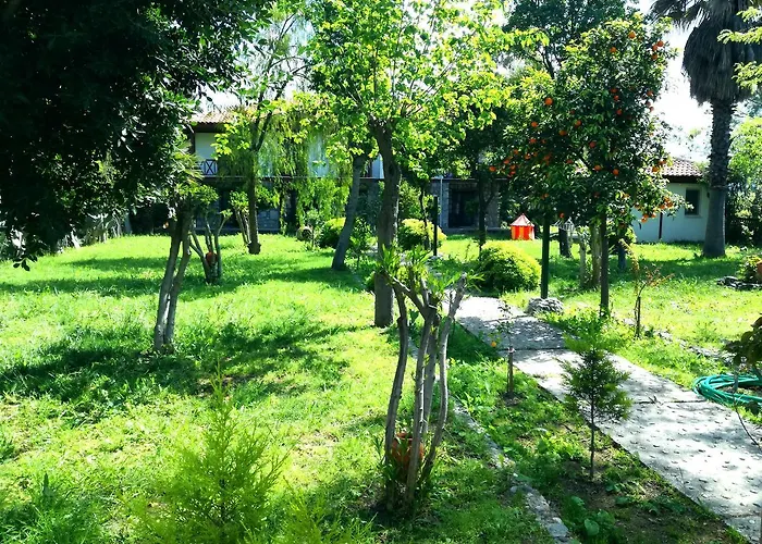 Dervi̇shan Health Club