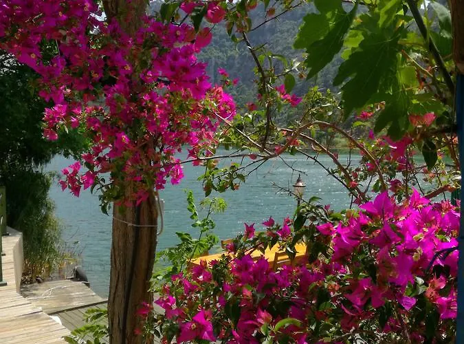 招待所 Dervi̇shan Health Club *