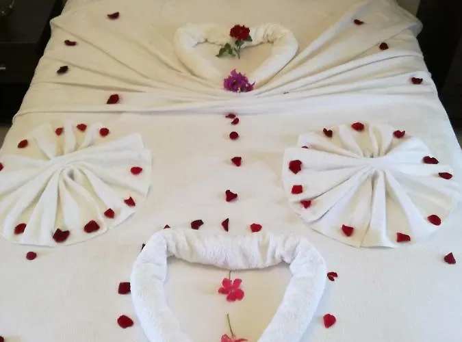 Dervi̇shan Health Club 招待所